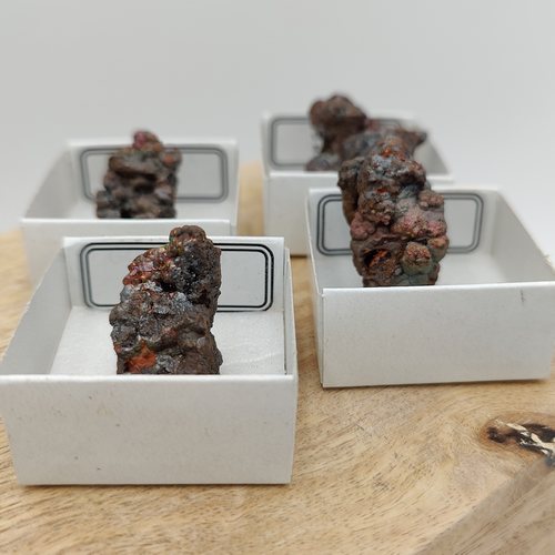 Goethite d'Espagne - Minéraux dans une boîte de collection