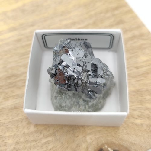 Galène de Bulgarie - Minéraux dans une boîte de collection