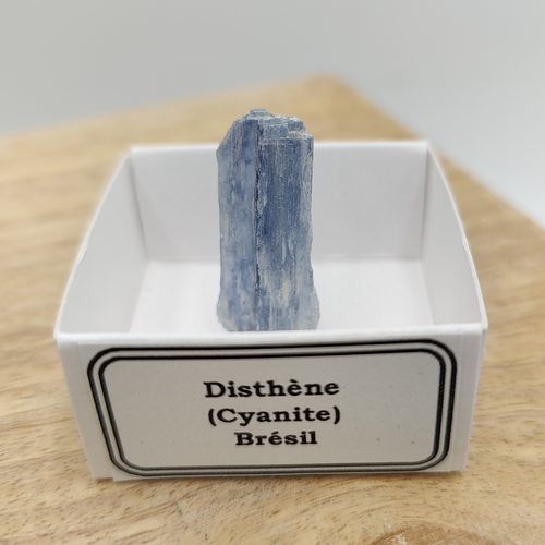 Cyanite (Disthène) du Brésil - Minéraux dans une boîte de collection