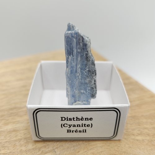 Cyanite (Disthène) du Brésil - Minéraux dans une boîte de collection