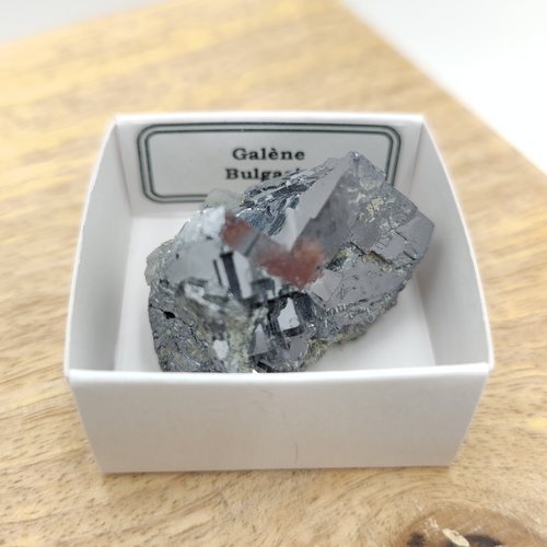 Galène de Bulgarie - Minéraux dans une boîte de collection