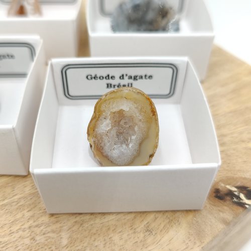 Géode d'agate du Brésil - Minéraux dans une boîte de collection