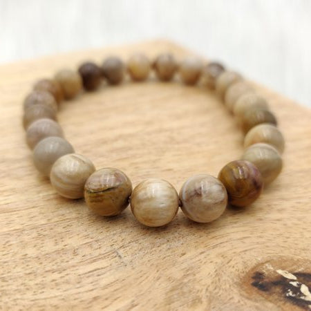 Bois fossilisé - Bracelet de perles rondes