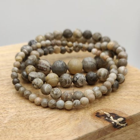 Corail fossilisé - Bracelet de perles rondes